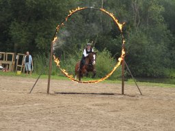 IMG_1670_web